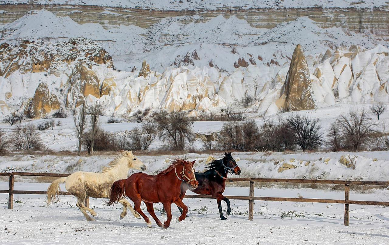 Elaa Cave Hotel Ортахисар Экстерьер фото